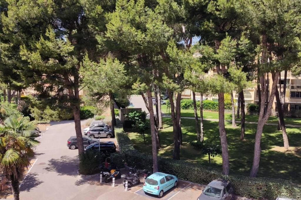 Bel Appartement Avec Piscine Proche Des Plages Six-Fours-les-Plages Eksteriør billede