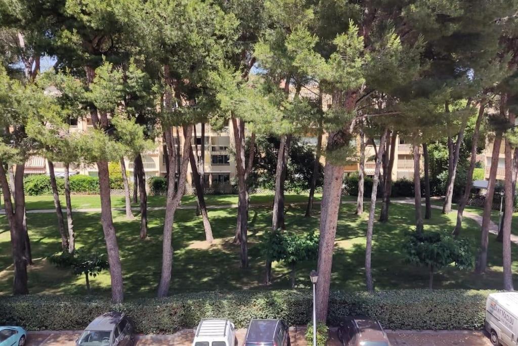 Bel Appartement Avec Piscine Proche Des Plages Six-Fours-les-Plages Eksteriør billede