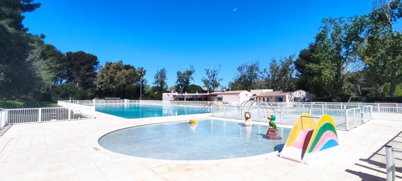 Bel Appartement Avec Piscine Proche Des Plages Six-Fours-les-Plages Eksteriør billede